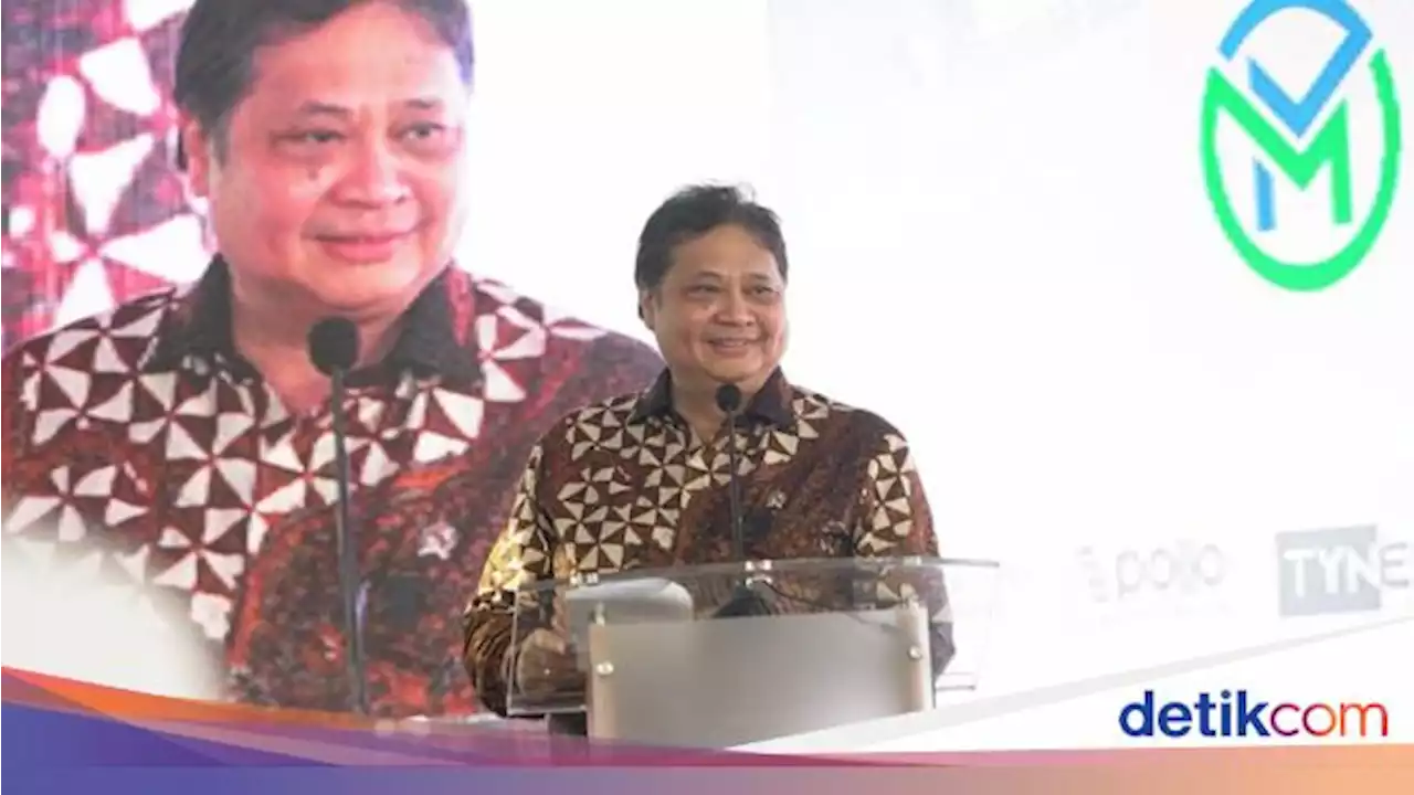 Airlangga Resmikan Industrial Park di Kepri, Investasi Capai Rp 12 T!