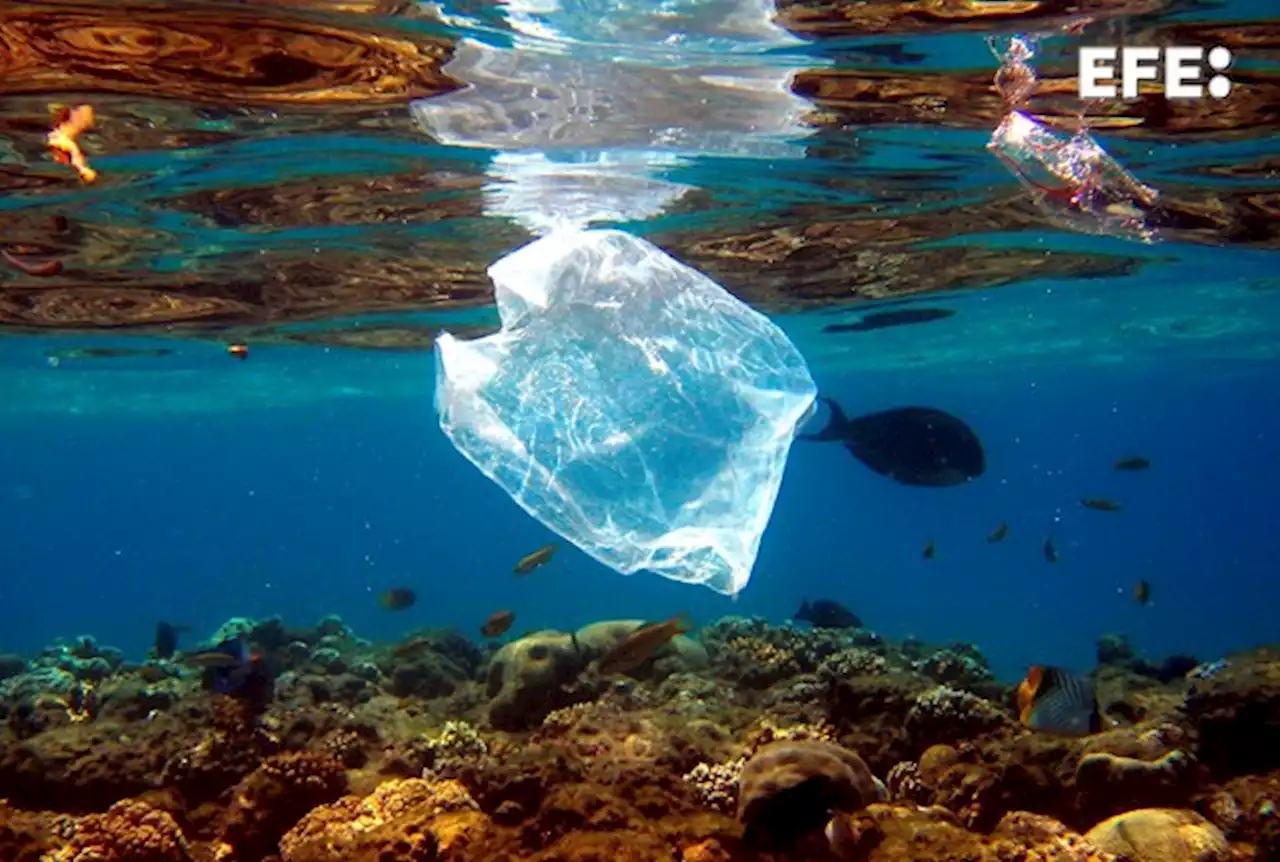 Filipinas vierte un tercio de los plásticos que flotan en los océanos