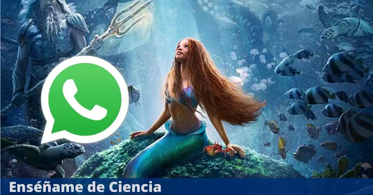 El truco para activar el “Modo La Sirenita” en WhatsApp