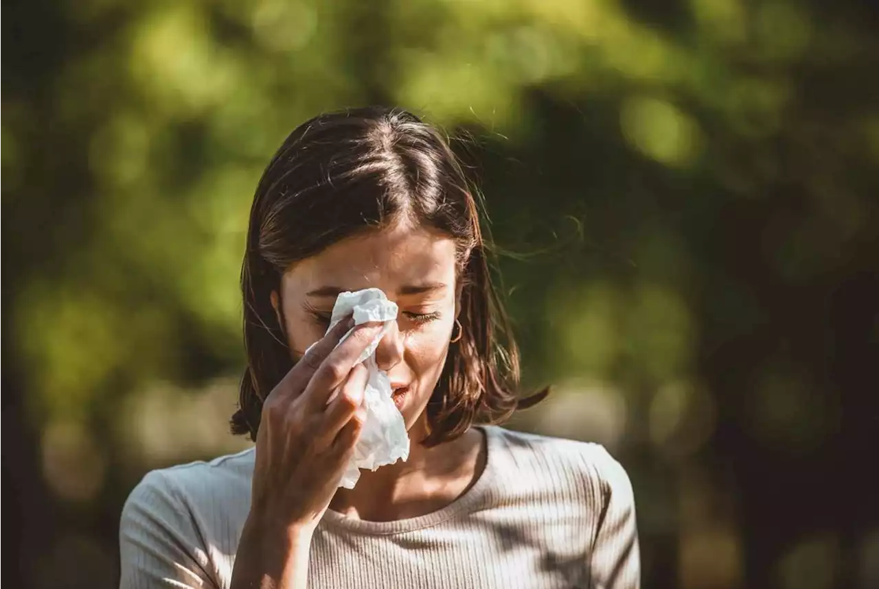 Rhinite allergique : voici la mauvaise habitude très courante à proscrire pour la santé de vos yeux