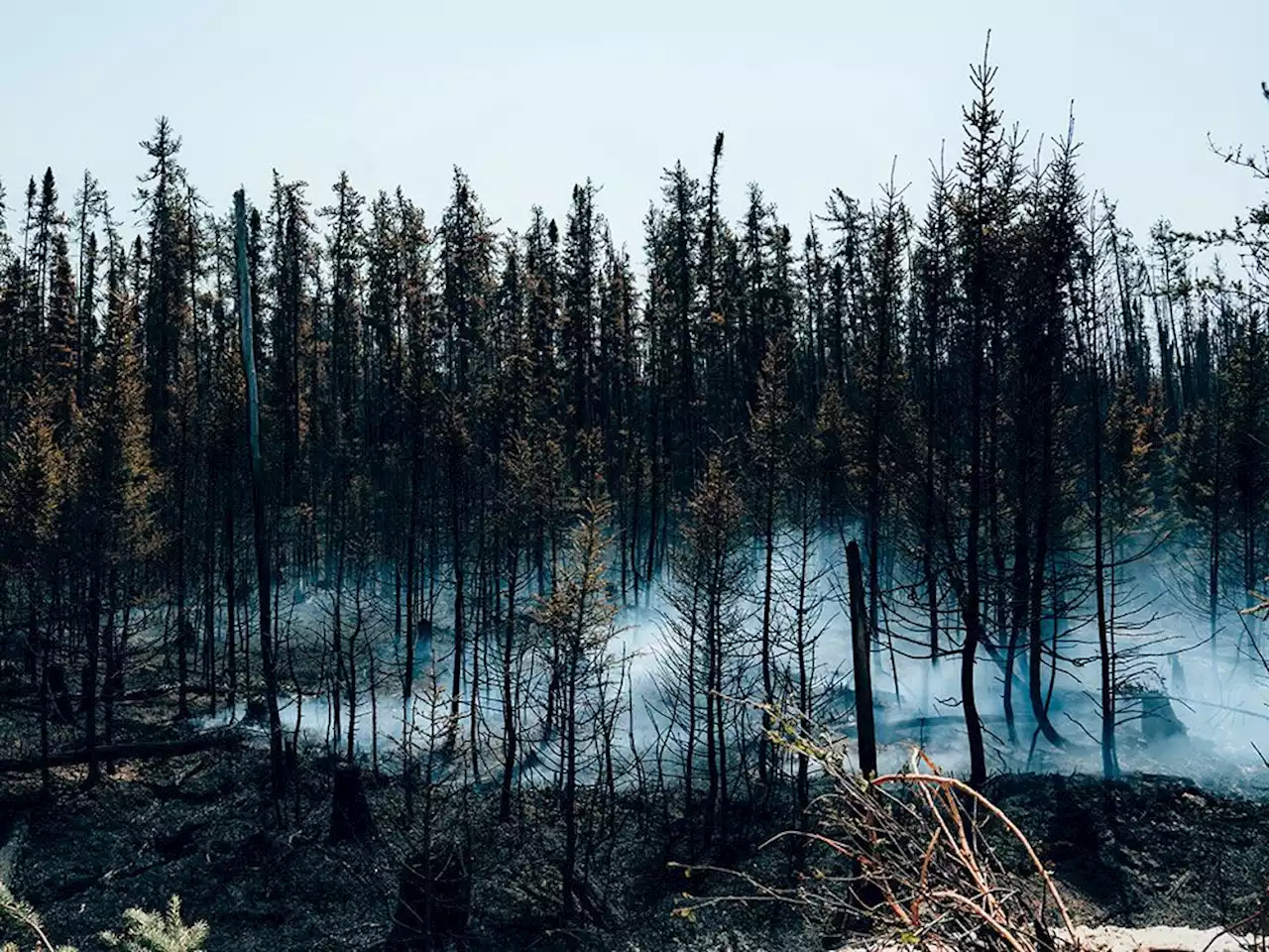 Wildfires force miners in Quebec to suspend operations and pull staff out