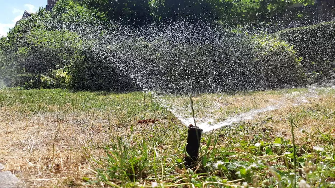 TRIBUNE. 'Boire ou gaspiller, il faut choisir' : face au réchauffement climatique, des associations environnementales appellent à 'repenser urgemment nos usages en eau'