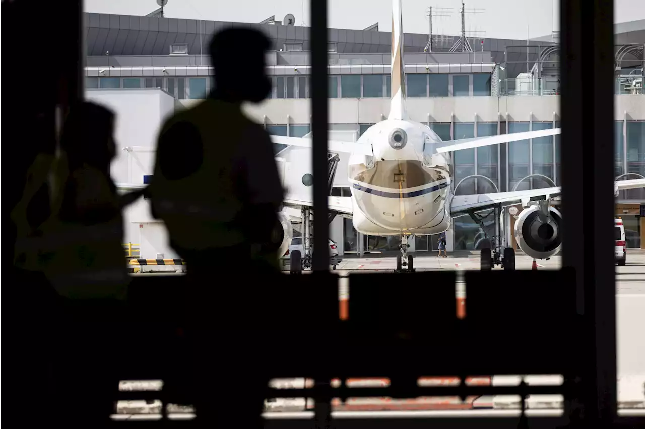 Starkes Sommergeschäft – Airlines rechnen mit mehr als doppelt so hohem Gewinn