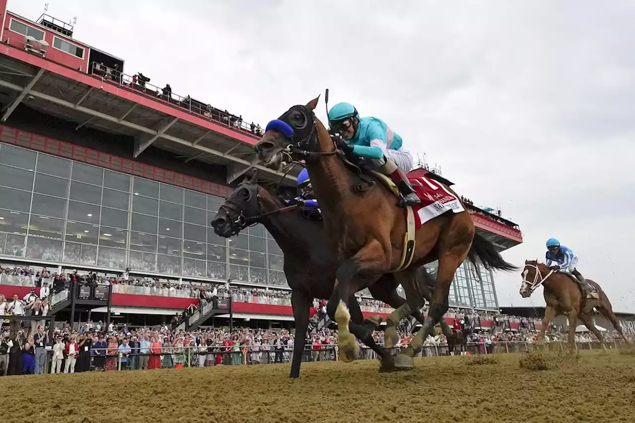 Preakness winner National Treasure has final workout for Belmont Stakes