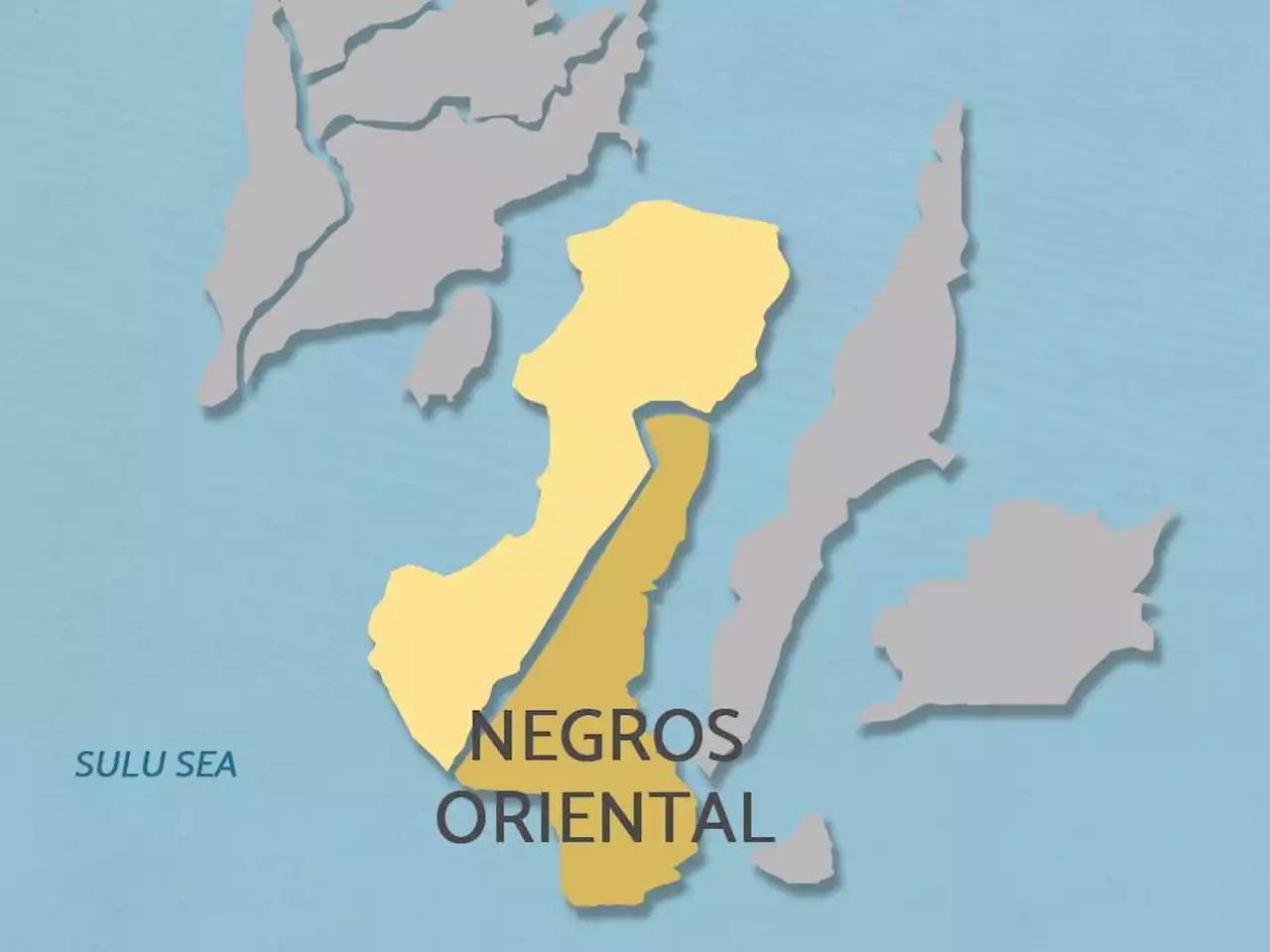 Move barangay, SK elections in Negros Oriental? PNP chief Acorda says there is no serious threat