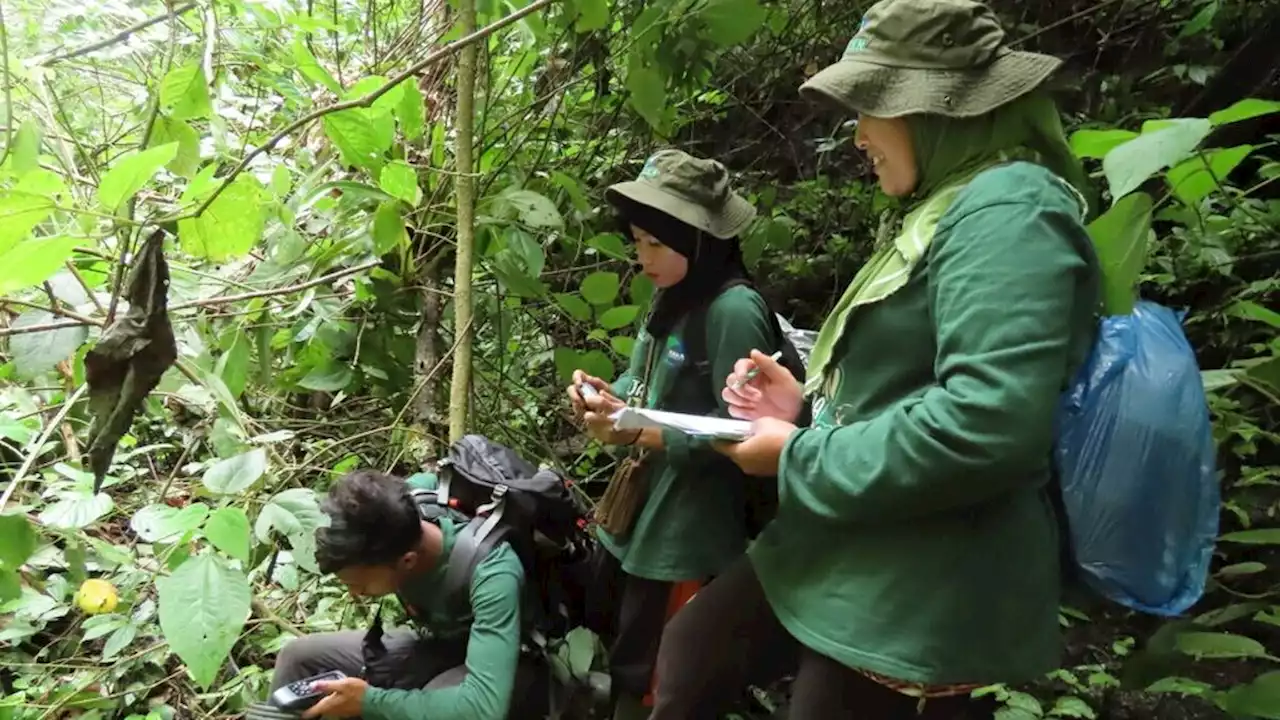 Jaga dan Kelola Hutan di Aceh, Desa Damaran Baru Diganjar Kalpataru