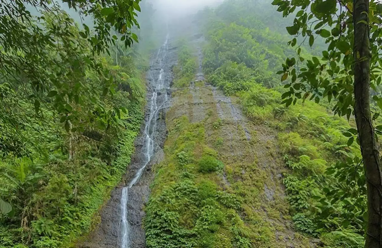 Air Terjun Mesehe, Disebut yang Tertinggi di Bali dan Belum Terjamah