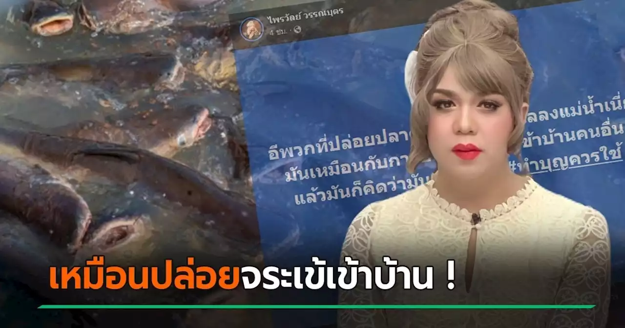 แพรรี่ ซัด ทำบุญควรใช้ปัญญา ปล่อยปลา 4 ตัน ลงแม่น้ำ เหมือนปล่อยจระเข้เข้าบ้าน