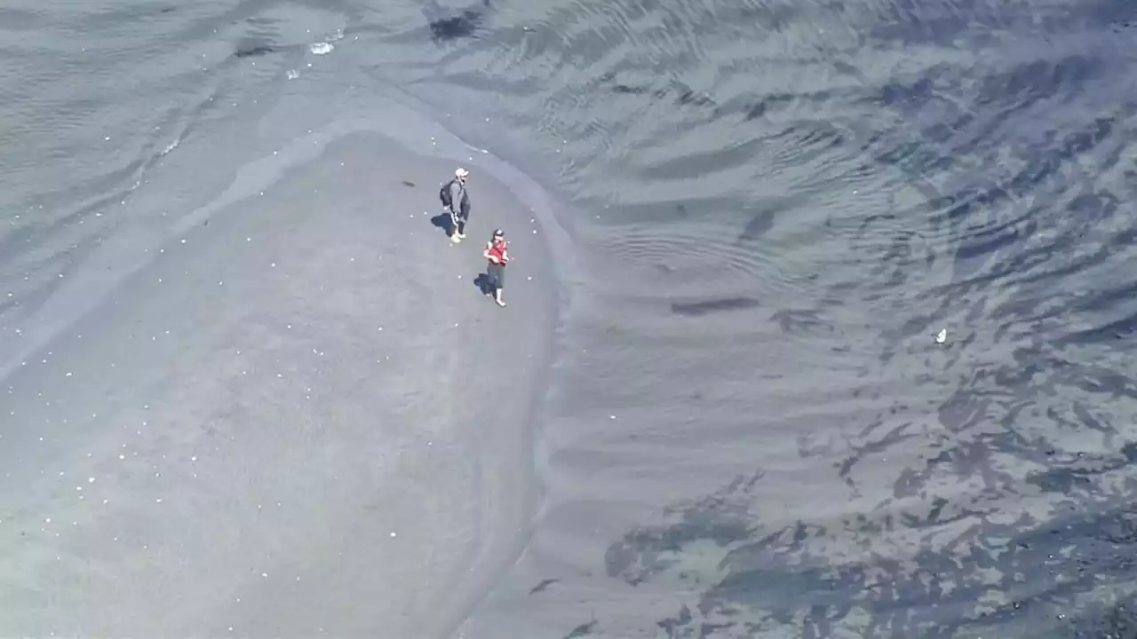 It’s a great time to observe marine life with extreme low tides in Puget Sound