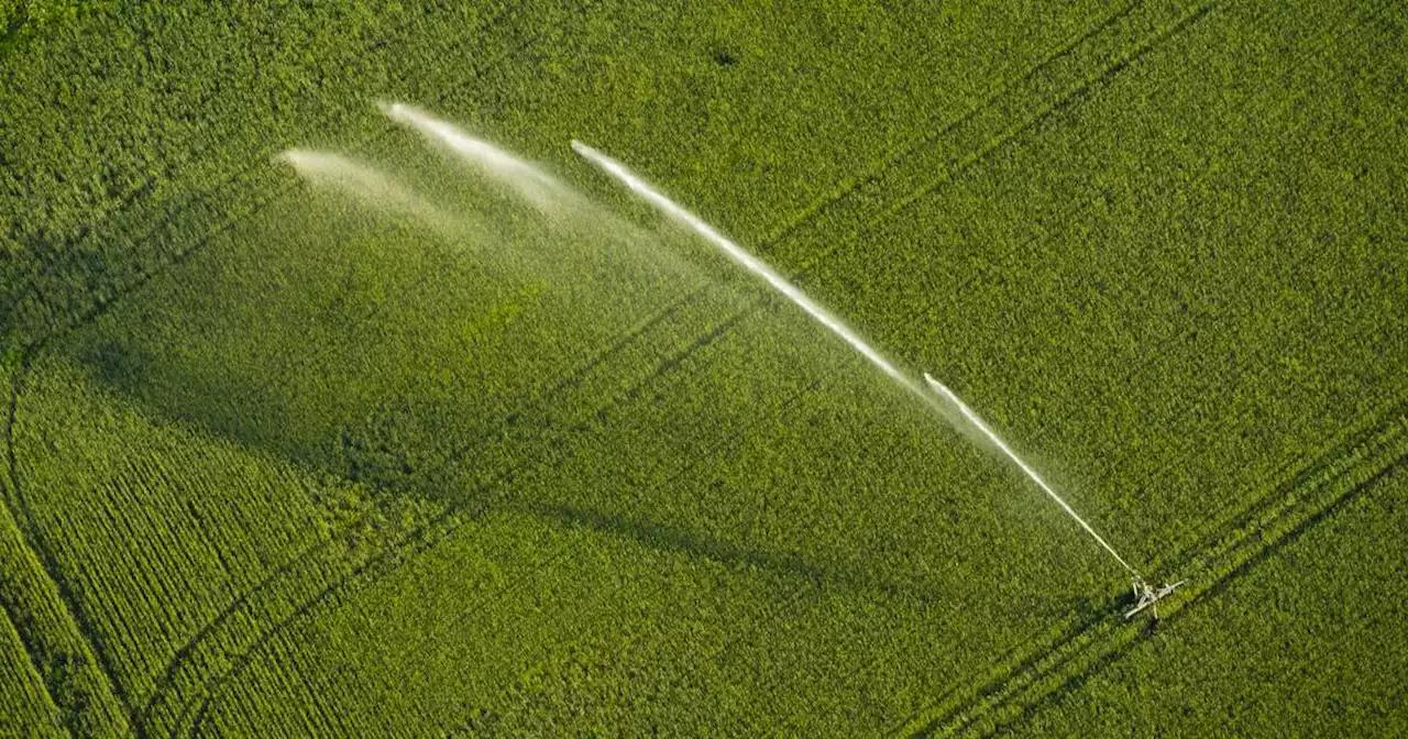 Plusieurs associations environnementales appellent à repenser la répartition de l’eau