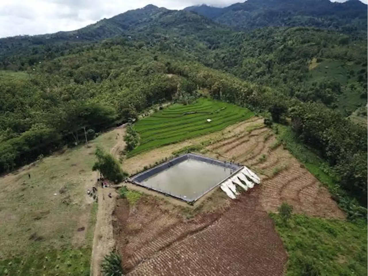 Kementan Siapkan Strategi untuk Jaga Produksi Pangan dan Pertanian dari Ancaman Kemarau dan El Nino