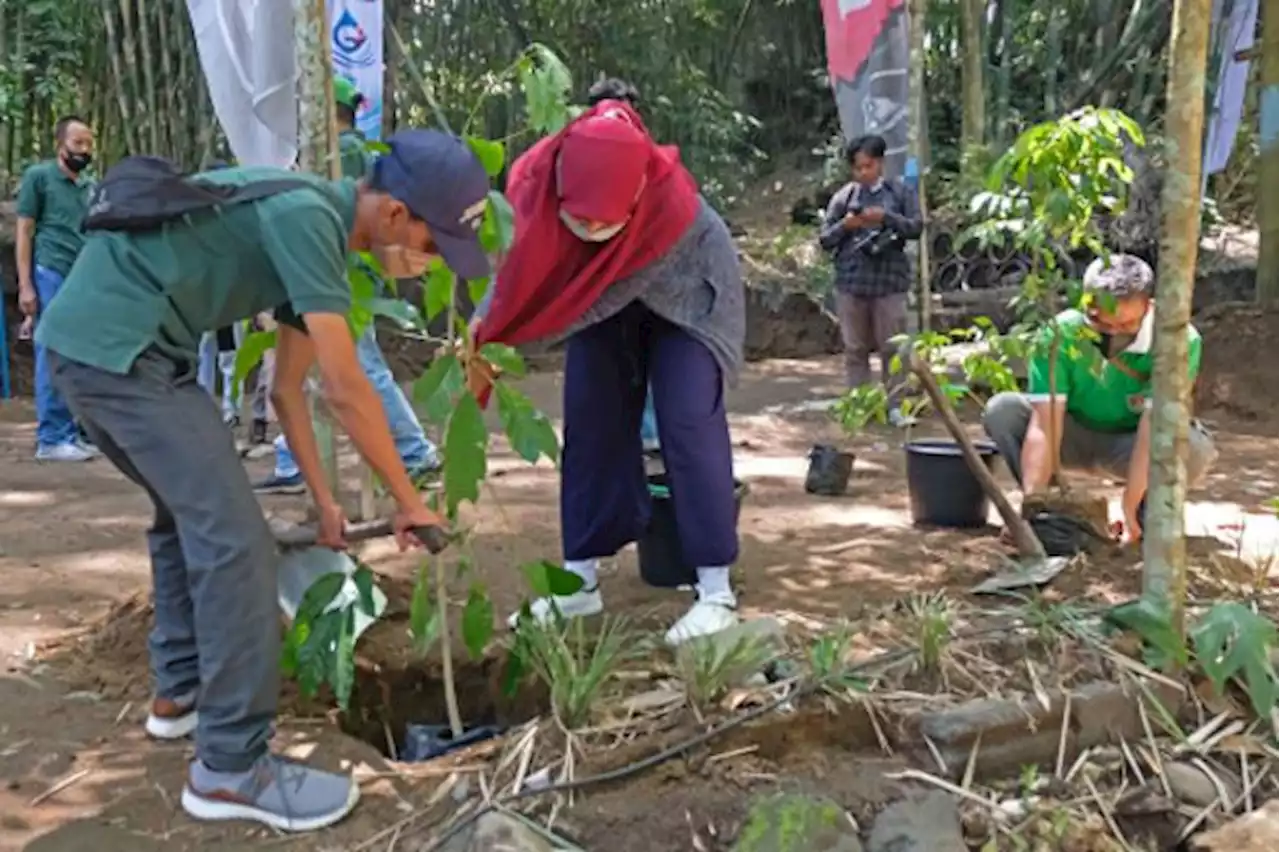 Peduli Lingkungan, Aktivis Perempuan Papua Raih Penghargaan Kalpataru