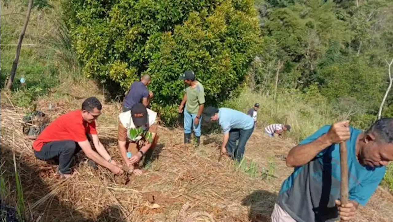 Peringati Hari Lingkungan Hidup, Paroki Karot Lakukan Penghijauan dan Bersihkan Sampah Plastik