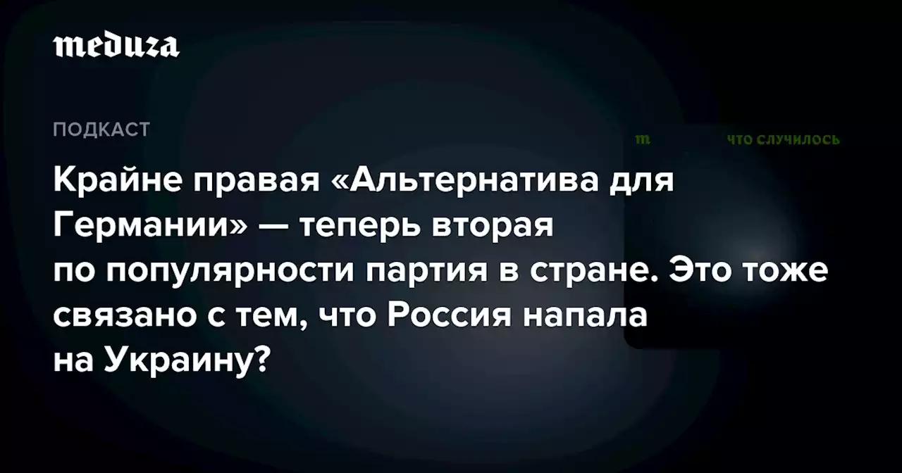 Крайне правая «Альтернатива для Германии» — теперь вторая по популярности партия в стране. Это тоже связано с тем, что Россия напала на Украину? — Meduza