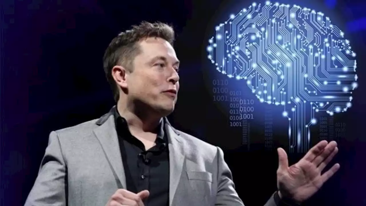 Neuralink, de Musk, avanza en la interfaz cerebro-máquina y ya vale U$S 5.000 millones