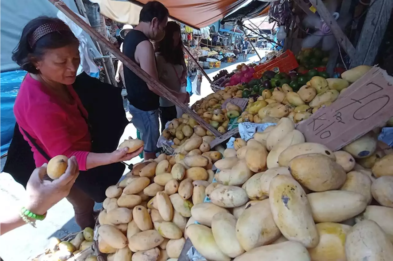 Choosing mangoes