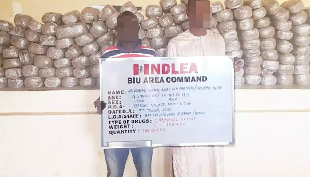 NDLEA seizes 390kg illicit drugs in four states