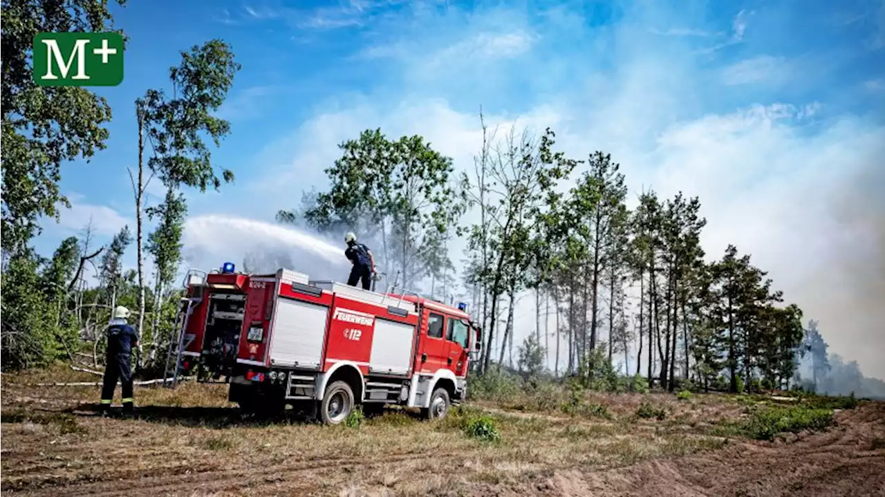 Brandenburg: Waldbrand-Bekämpfung auf vermintem Gelände