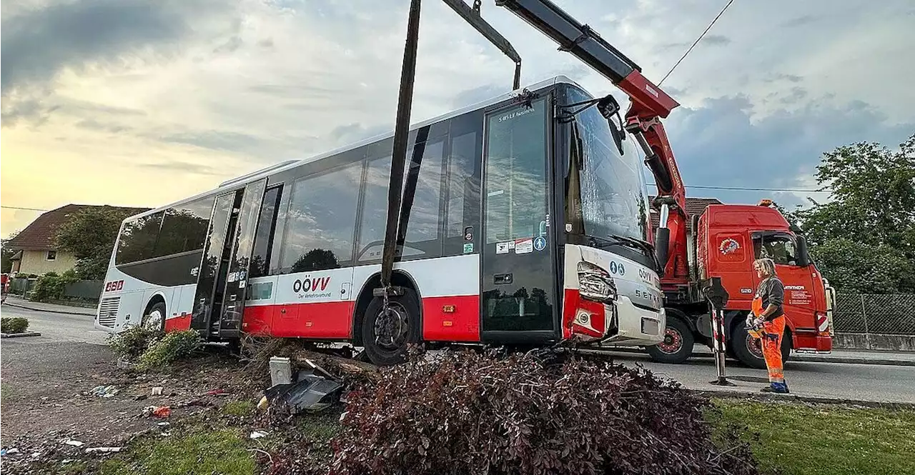 Hörsching: Omnibus prallt bei Schulungsfahrt gegen Baum