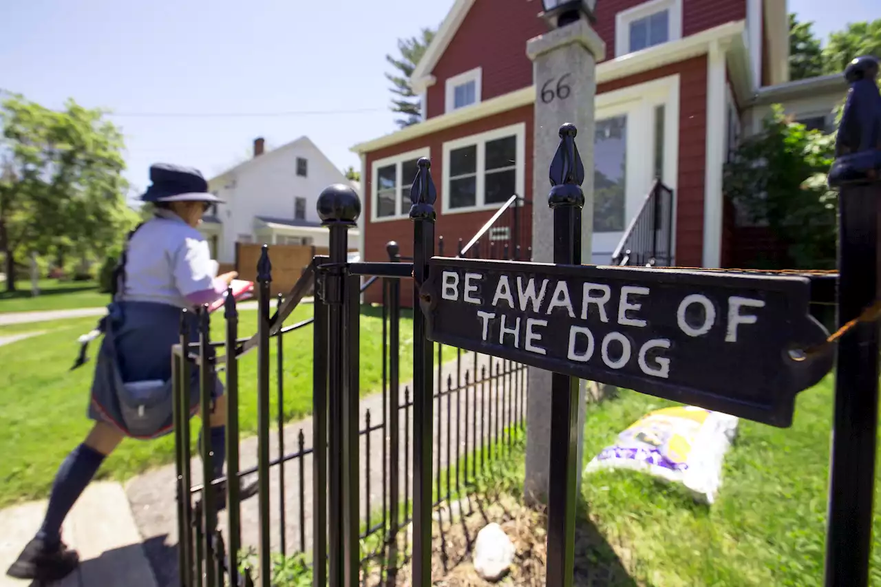 USPS reveals which cities and states saw most dog attacks on mail carriers in 2022