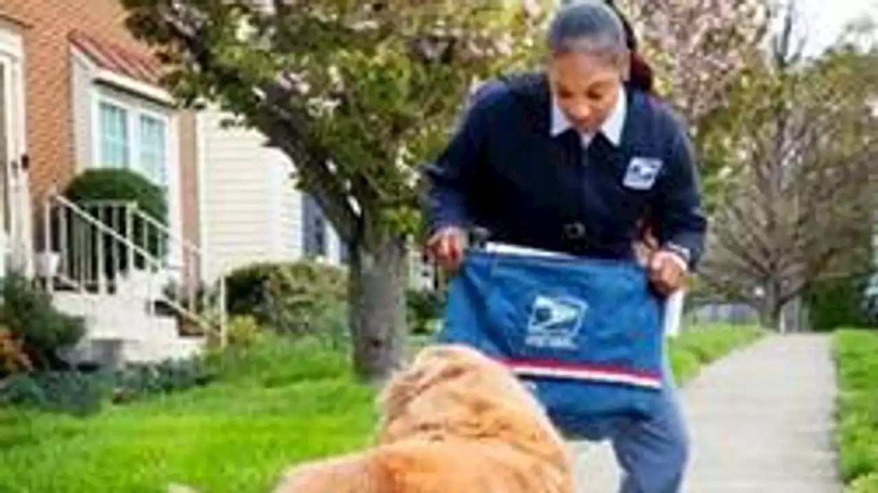 Texas ranks #2 in top dog attacks against U.S. Postal Service