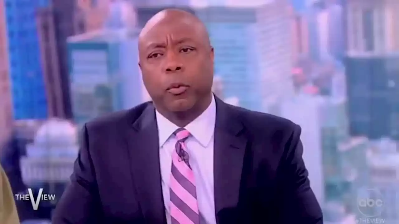 Tim Scott gets in heated exchange about race with 'The View' panel