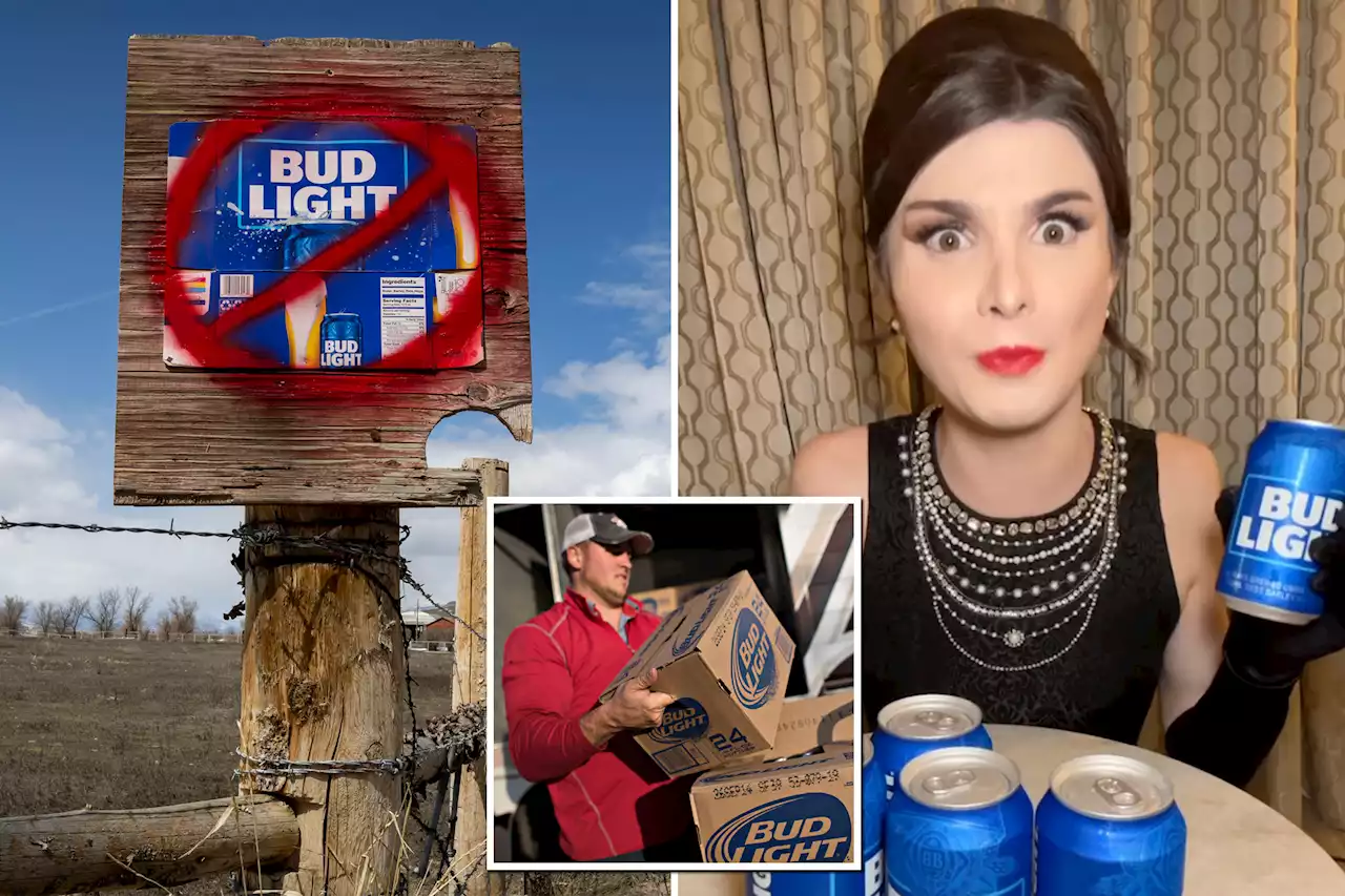 Bud Light salespeople receiving ‘middle fingers’ and ‘car horns’ as they struggle to make money: report