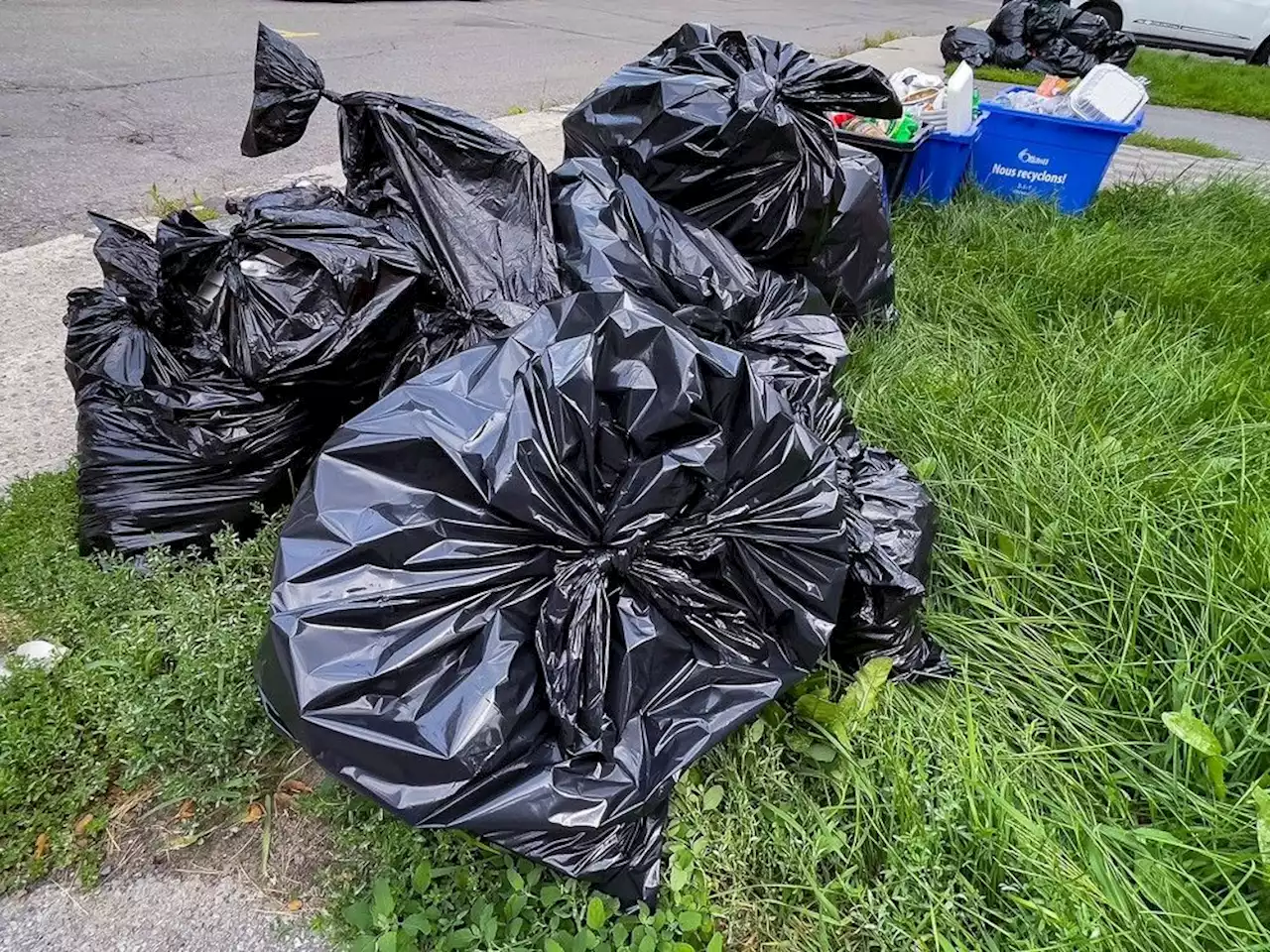 Brown: How to avoid a punitive bag-tag policy for Ottawa's garbage