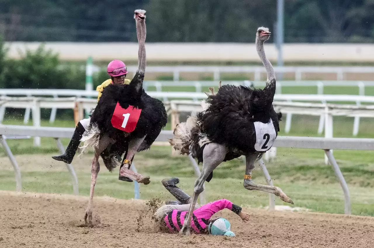 PennLive captures 21 Keystone Media Awards with ‘variety’ of compelling stories, photos, videos