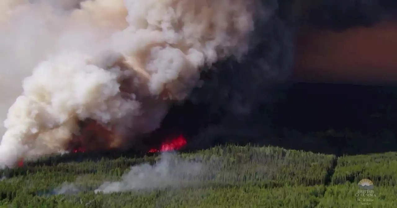 Combattere il fuoco con il fuoco: gli elicotteri gettano combustibile per arginare l'incendio