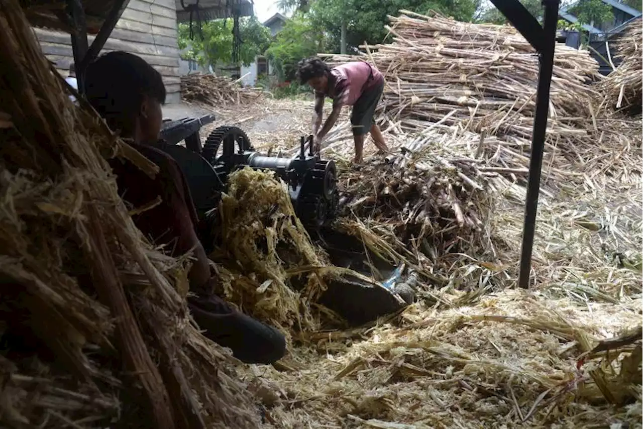 NFA Optimistis Ketersediaan dan Stabilitas Gula Terkendali |Republika Online