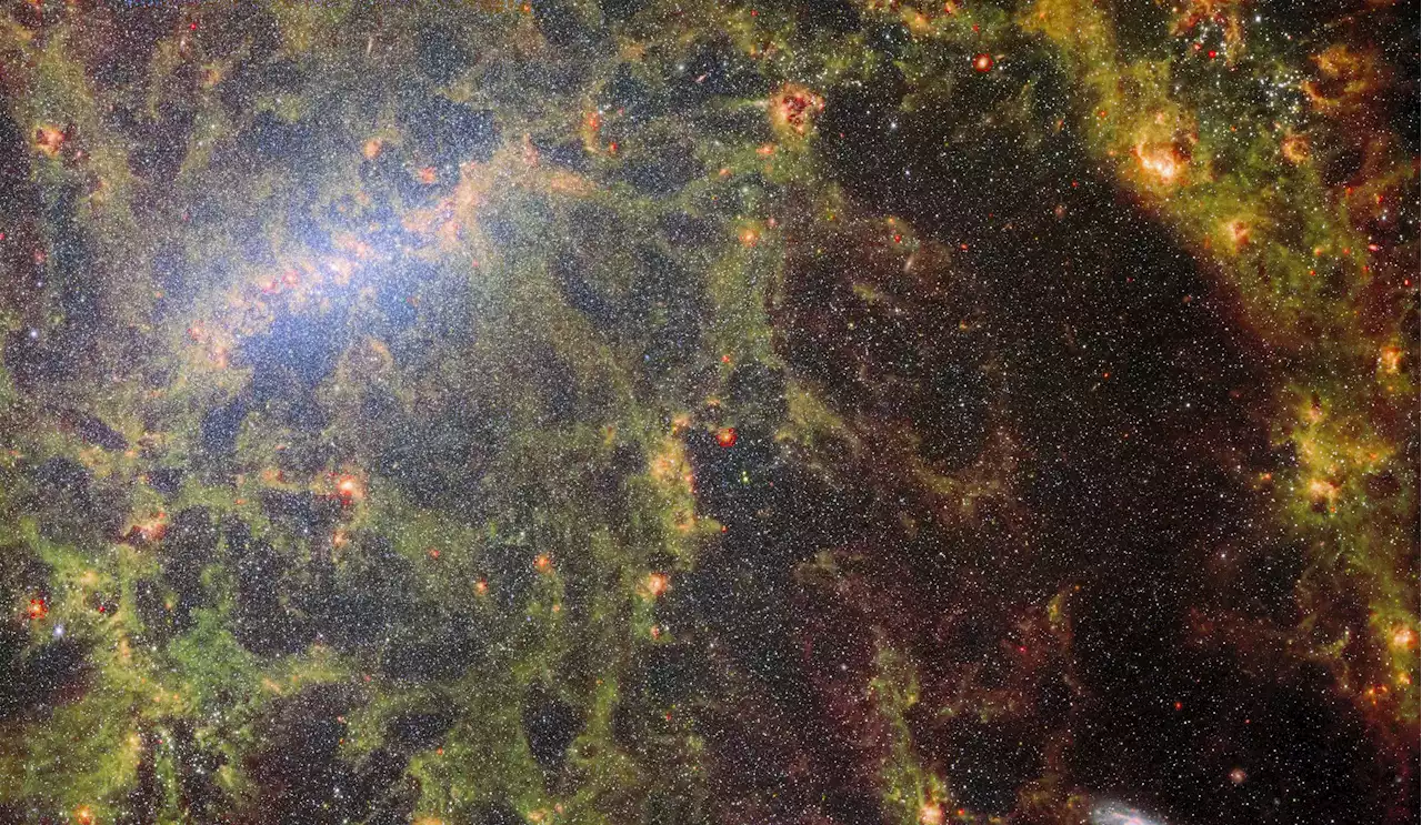 Behind Galactic Bars: Webb Telescope Unlocks Secrets of Star Formation