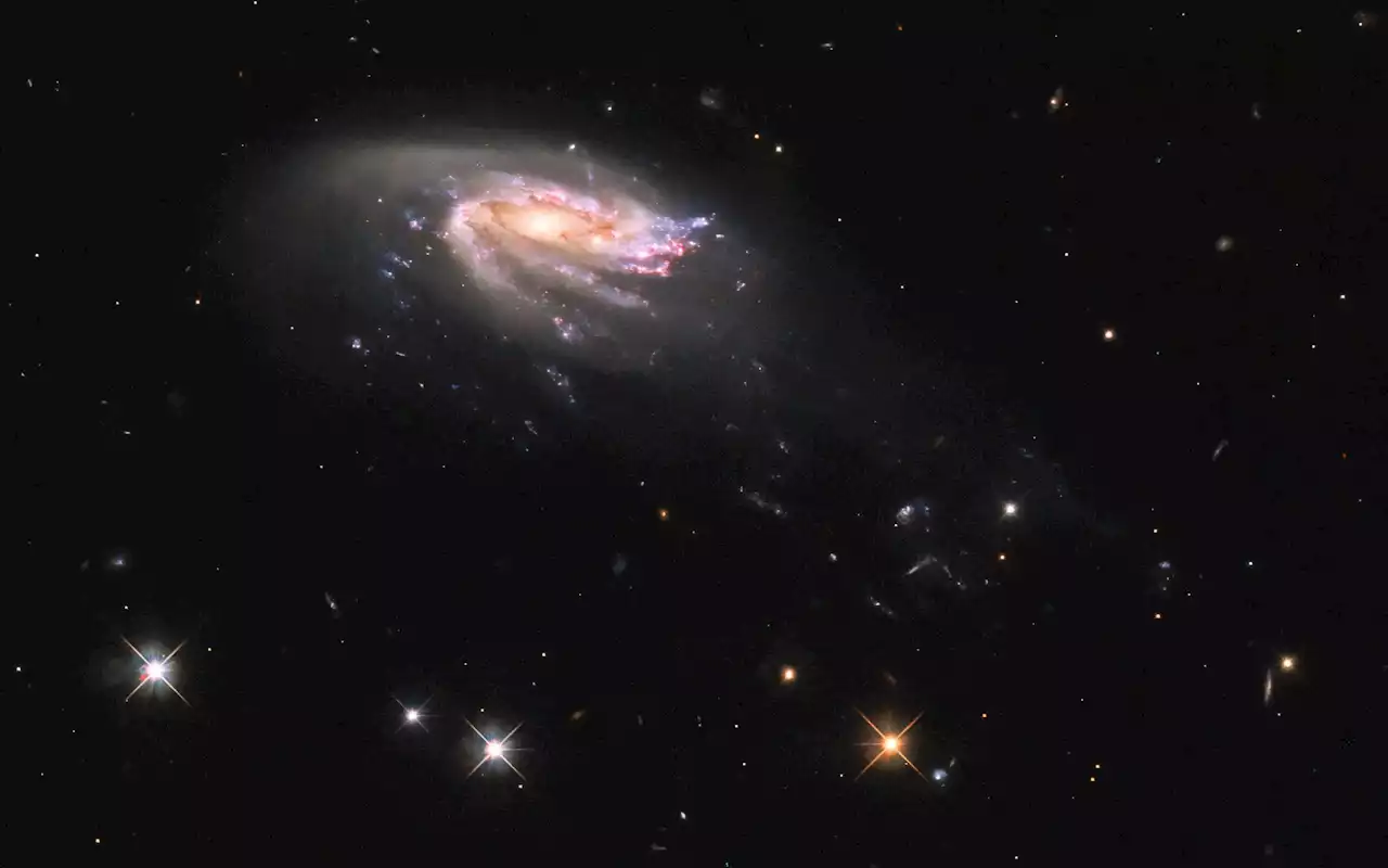 Hubble’s Final Gaze: Unraveling the Mysteries of Jellyfish Galaxies