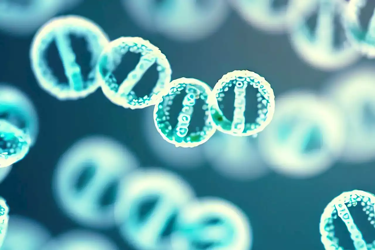 Stanford Medicine Reveals: Tiny DNA Circles Defying Genetic Laws Drive Cancer Formation