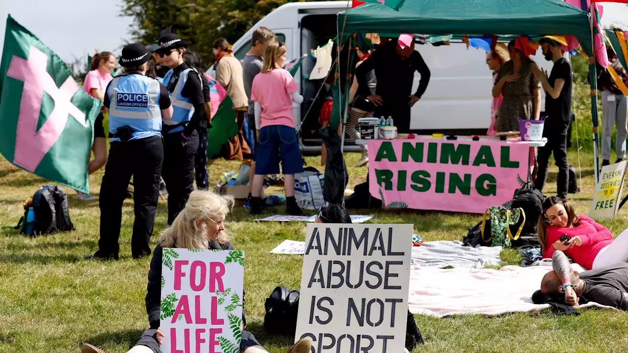 Royal Ascot reviews security plans after series of activist protests