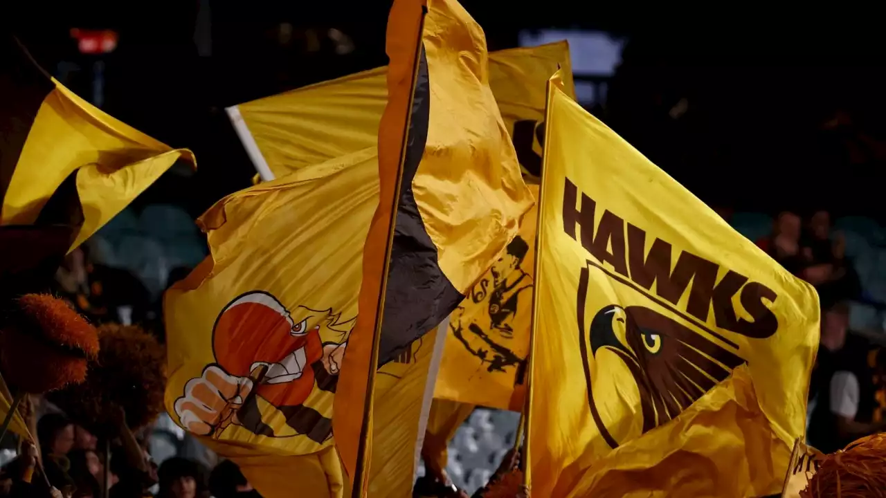 AFL to investigate Hawthorn over racism scandal