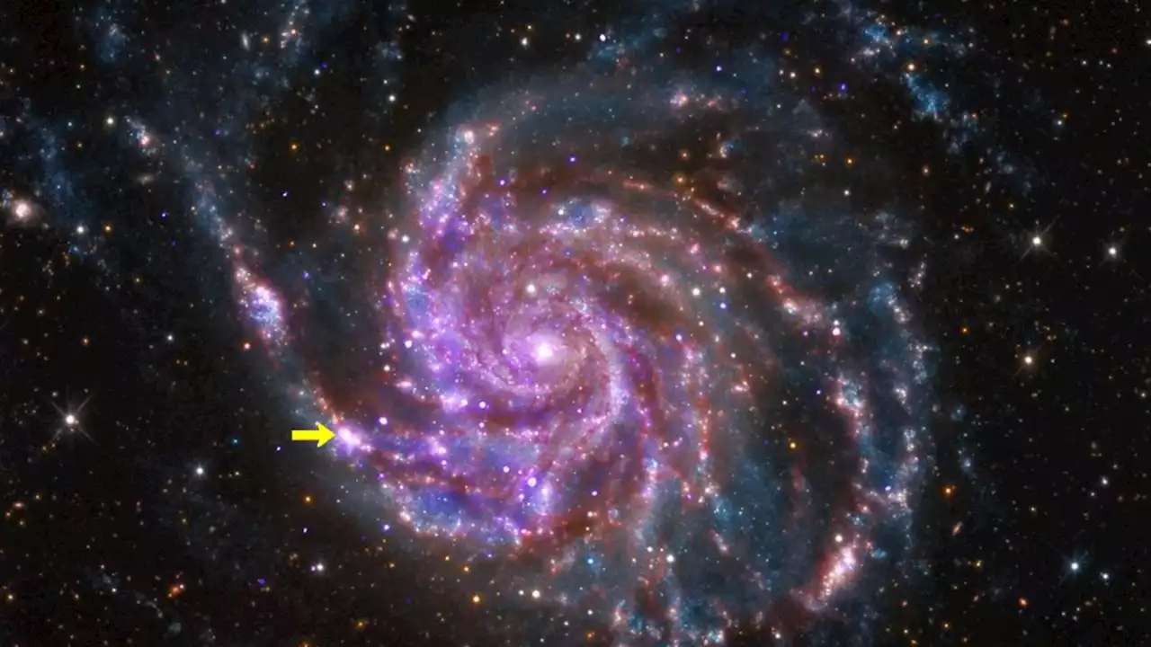 How long will the new supernova visible in the night sky last?