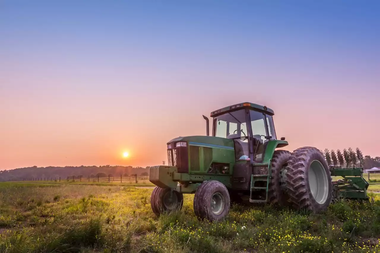 Reader poll: Overwhelming majority oppose building on farmland