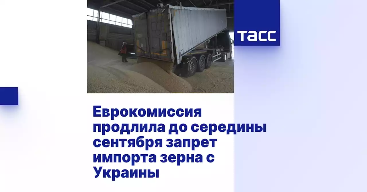Еврокомиссия продлила до середины сентября запрет импорта зерна с Украины
