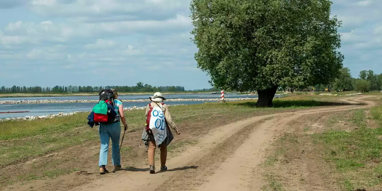 Marsch für die Oder: Den Fluss persönlich nehmen