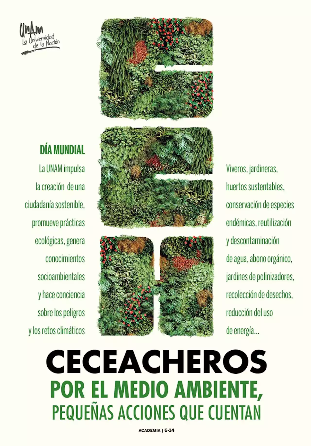 Las áreas verdes disminuyen la contaminación y generan comunidad - Gaceta UNAM