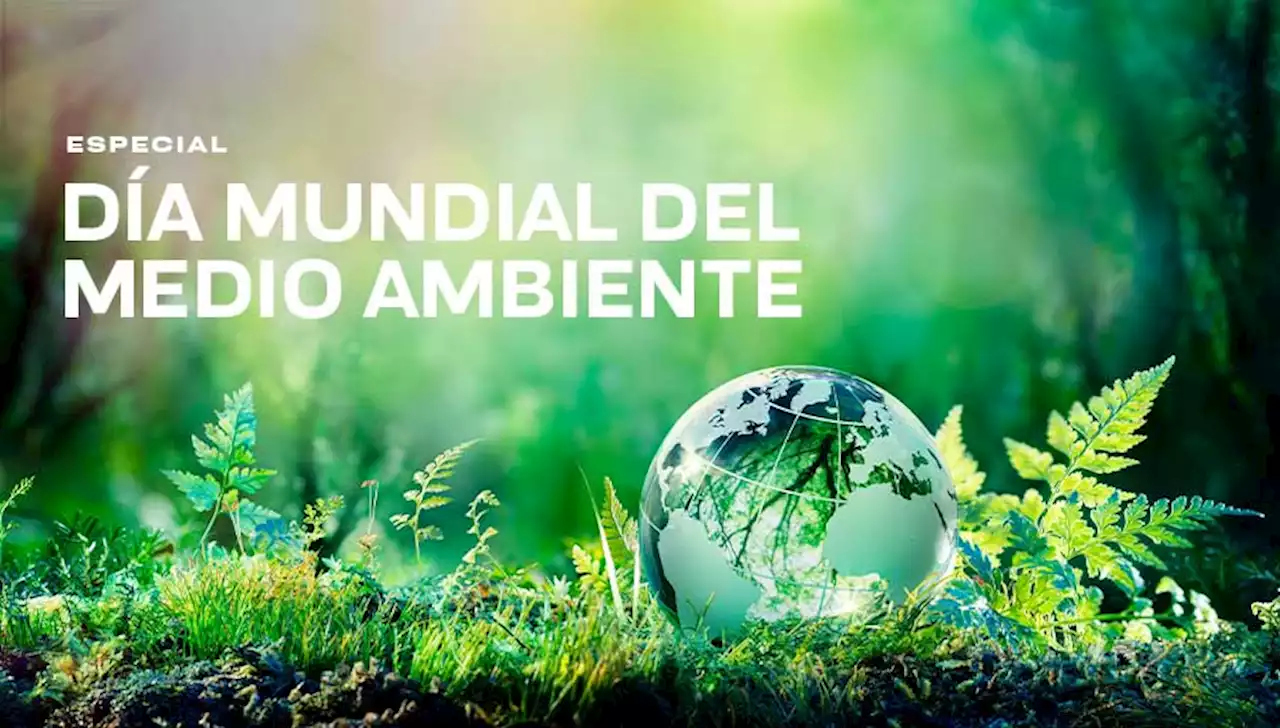 Especial: Día Mundial del Medio Ambiente - UNAM Global