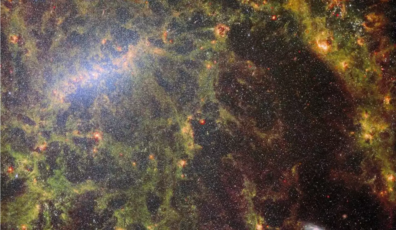 The Latest JWST Image Pierces Through a Shrouded Star-Forming Galaxy