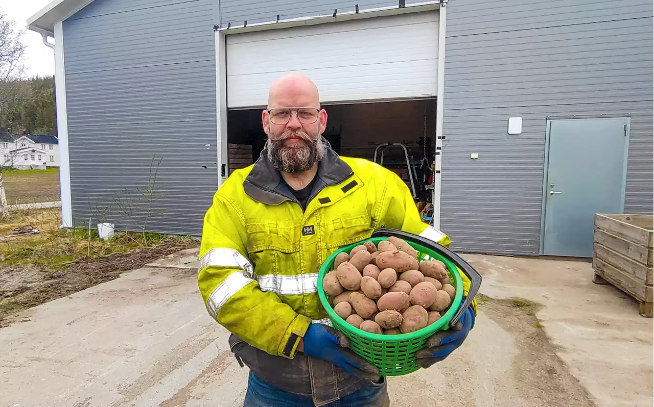 Får ikke selge 60 tonn poteter: – Kun visuelt