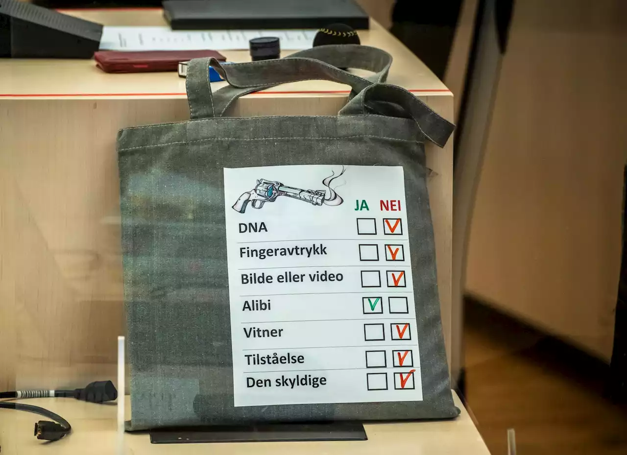 Laila Bertheussen debuterer med kunstutstilling under Arendalsuka