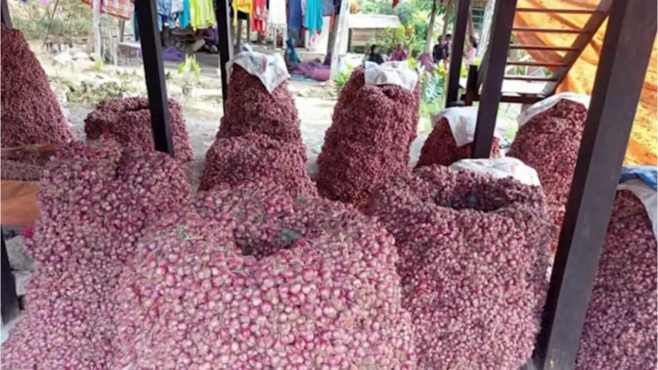 Biang Kerok Kenaikan Harga Bawang Merah dan Putih