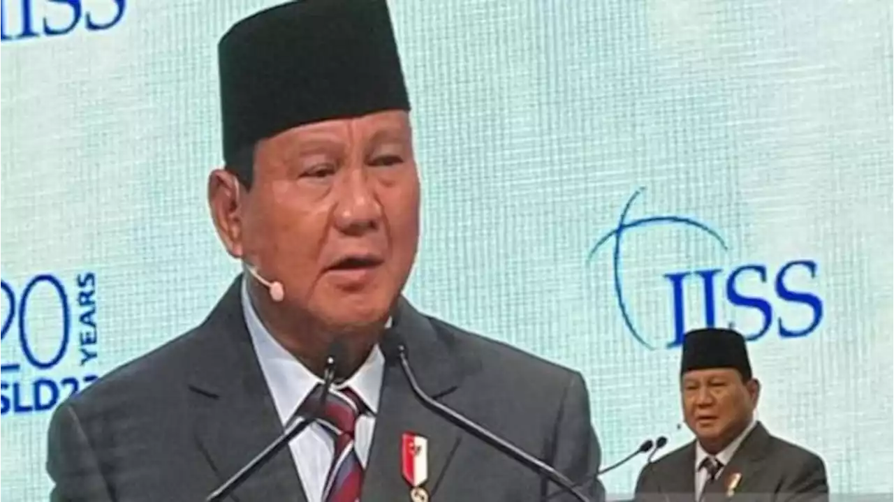 Proposal Perdamaian Prabowo soal Rusia-Ukraina Dinilai Tak Masuk Akal, Ini Alasannya