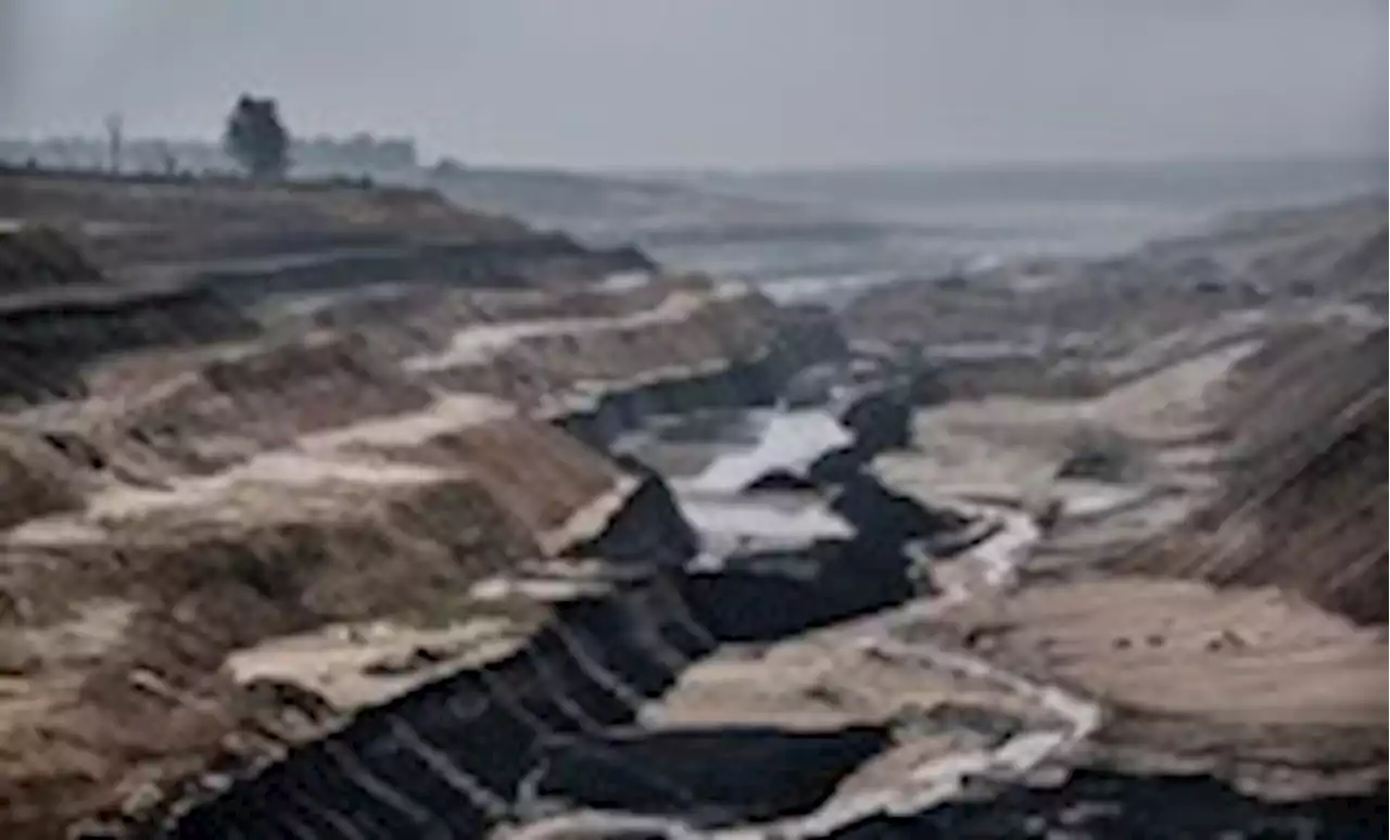India cracks down on critics of coal