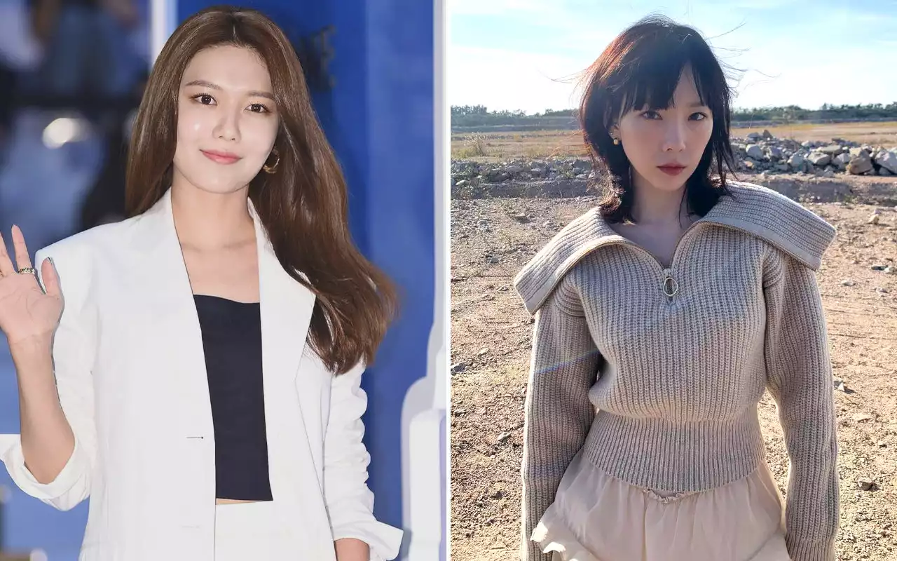 Hampir Sia-sia Nyalon, Choi Sooyoung Sukses Ngeksis di Konser Taeyeon SNSD