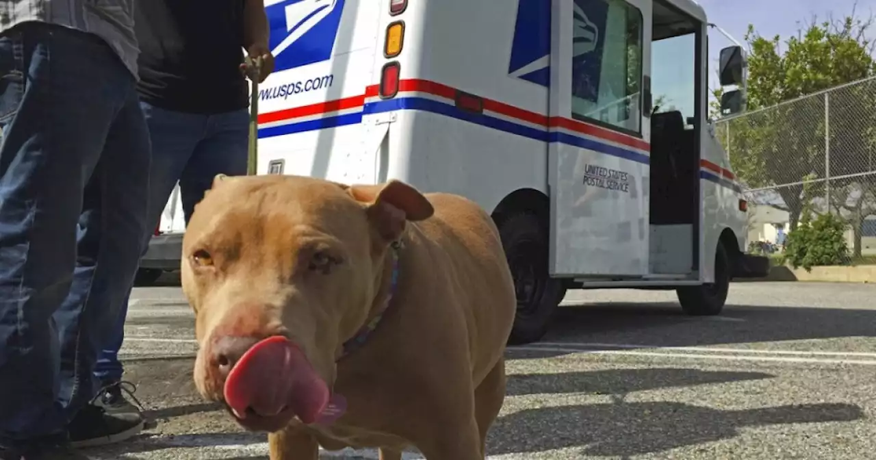 These are the states where mail carriers face the most dog attacks